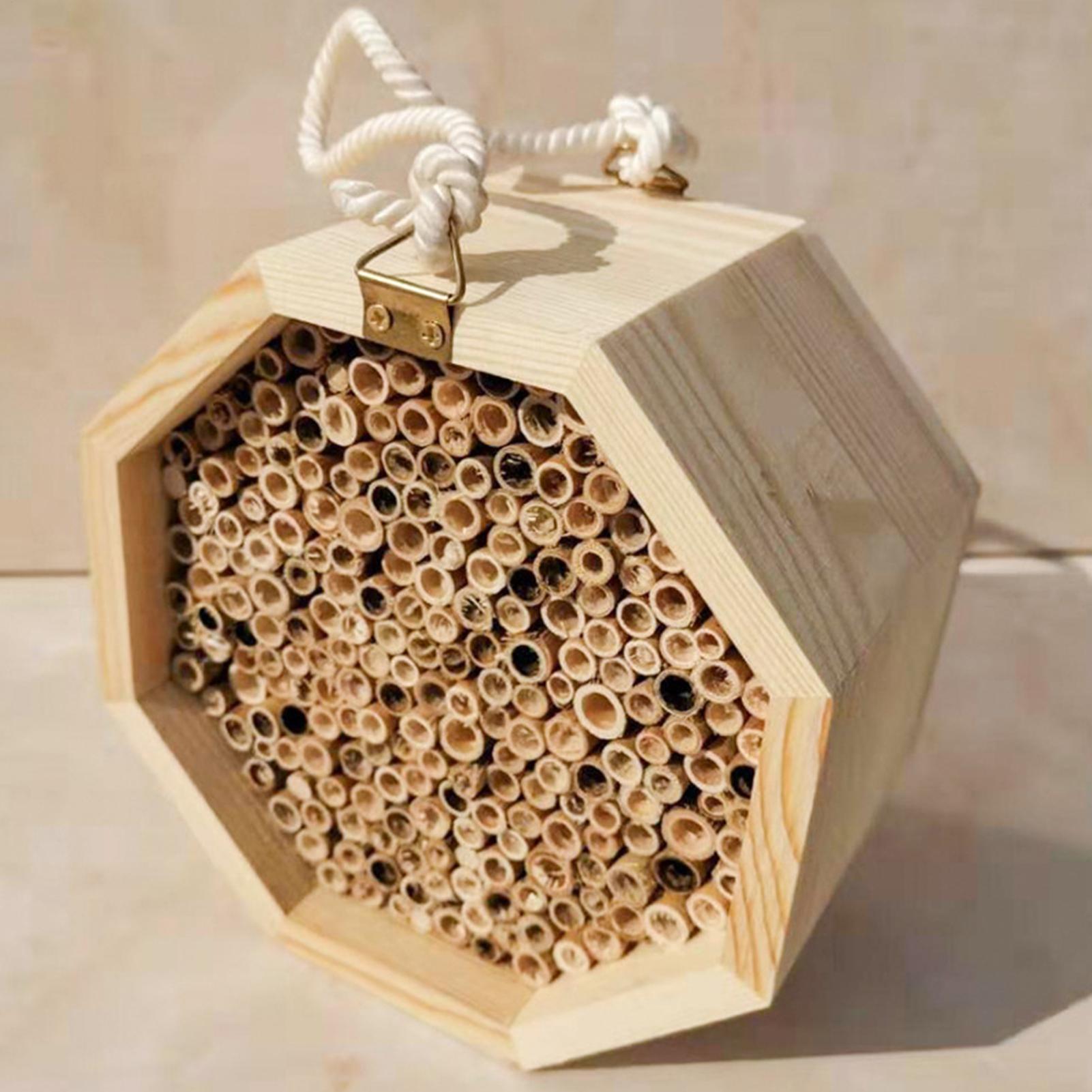 Insect Hotel Wood - بيت خشبي للحشرات والنحل، صندوق تعشيش