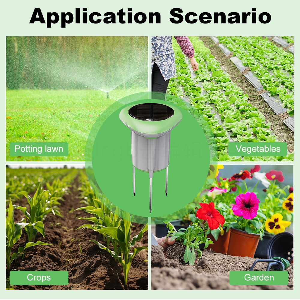 جهاز استشعار التربة الذكي بالط - مراجعة Smart Urban Garden وسعره