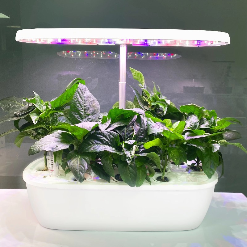 نظام حديقة هيدروبونية ذكي إلكت - مراجعة Smart Garden Design وسعره