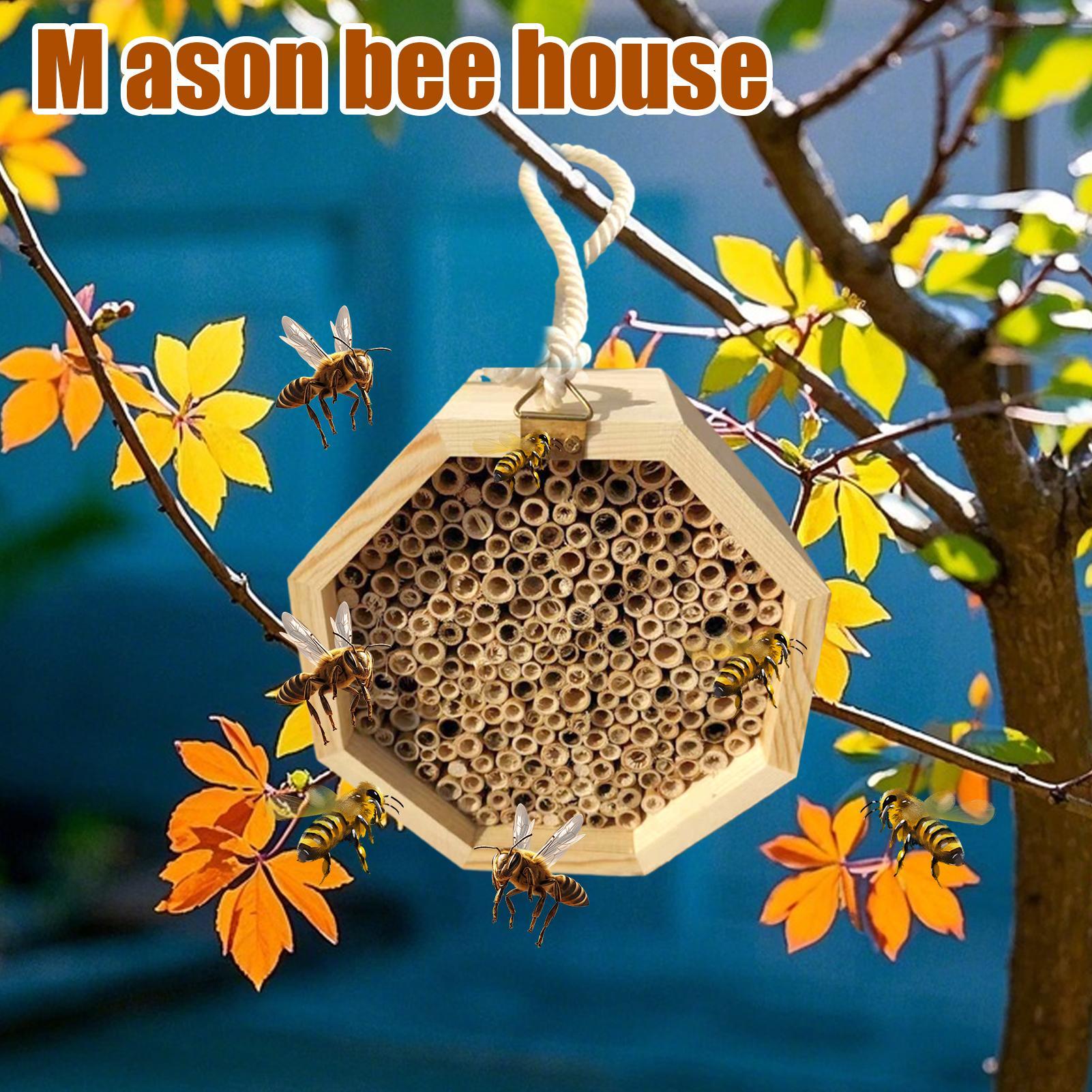 بيت خشبي للحشرات والنحل، صندوق - مراجعة Insect Hotel Wood وسعره