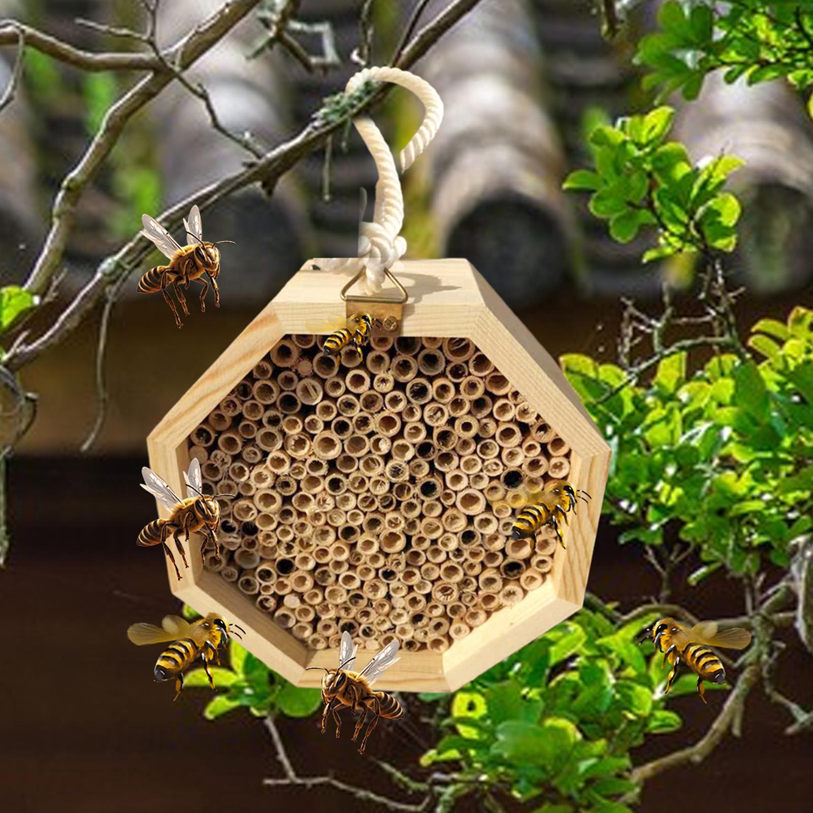 بيت خشبي للحشرات والنحل، صندوق - مراجعة Insect Hotel Wood وسعره