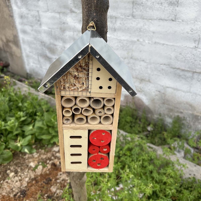 بيت الحشرات، فندق الحشرات الخش - مراجعة Insect Hotel Wood وسعره